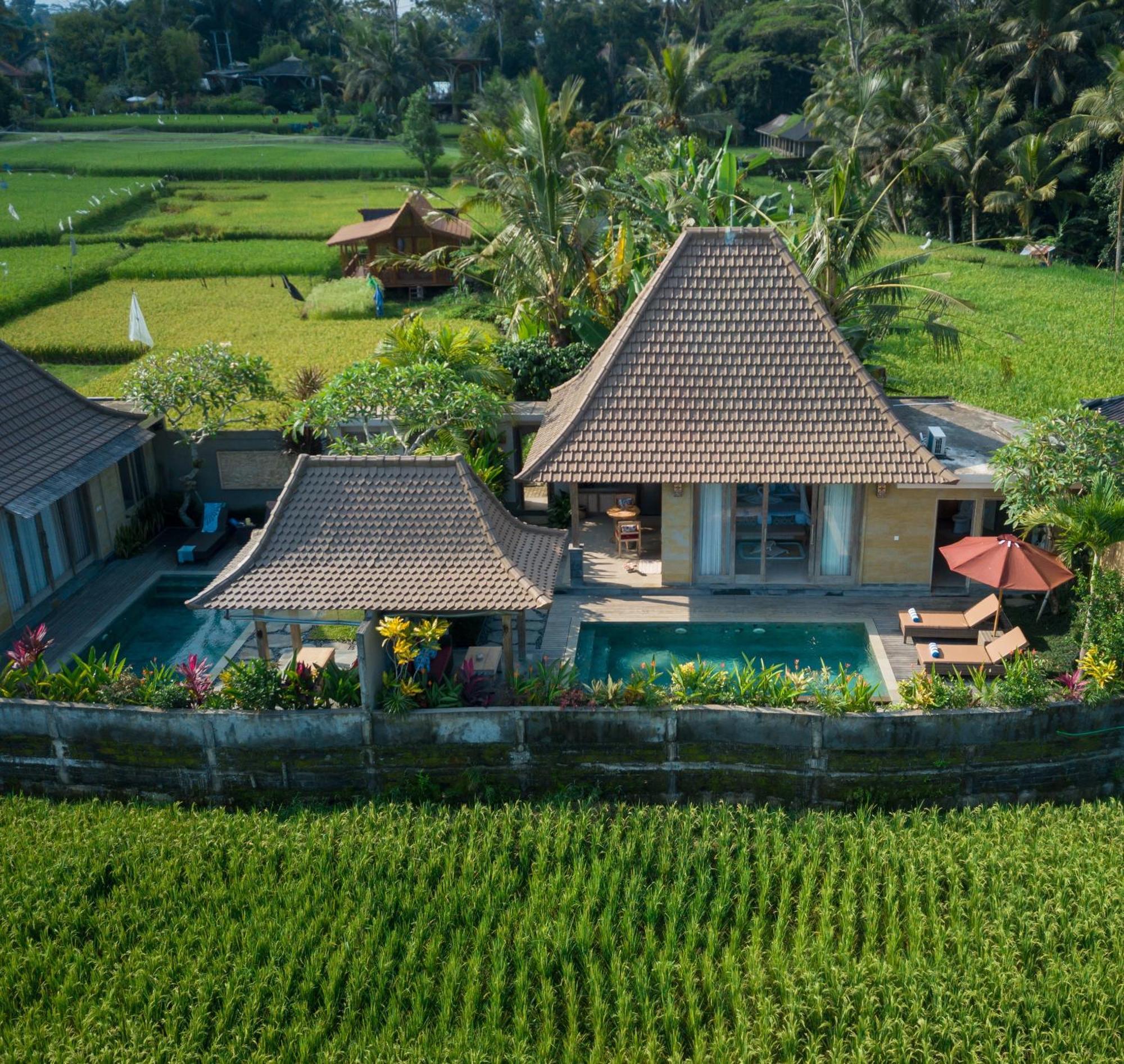 Happy Honeymoon Private Villa أوبود المظهر الخارجي الصورة